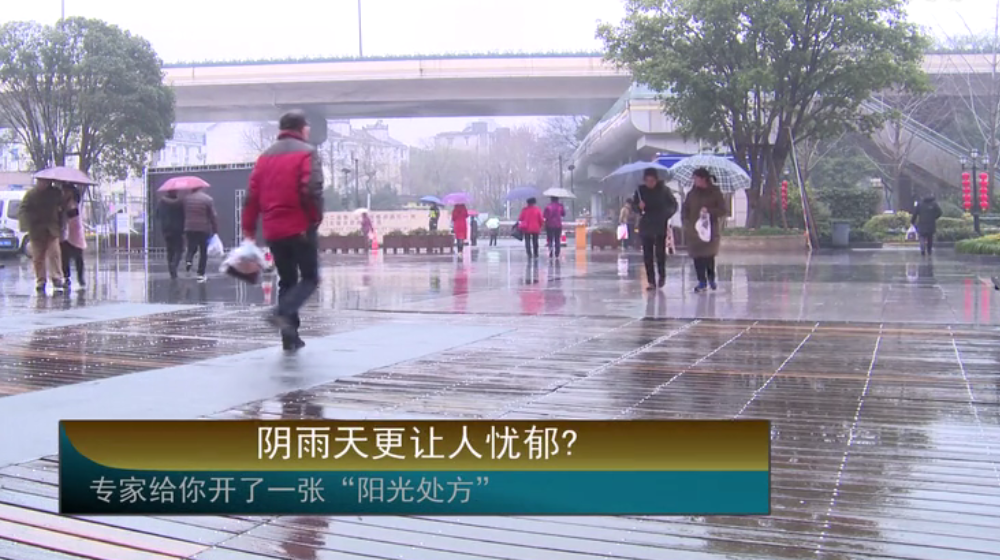 ��������׌�ˑn�����㽭ʡ�����t(y��)Ժ�����l(w��i)���ƌ��ҽo���_(k��i)��һ��